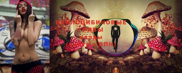 Альфа ПВП Абдулино