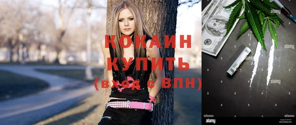 первитин Гусев